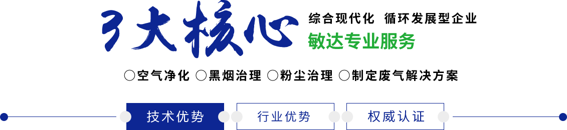 91爱艹免费视频敏达环保科技（嘉兴）有限公司